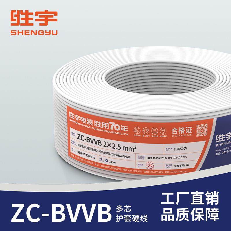 阻燃BVB2*1护套扁平860平行V线21.52.546平方聚氯芯乙烯绝缘