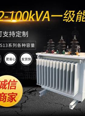 一级能效变压器S22-M-100kVA/10/0.4kV-NX16KV三相油浸式变压器