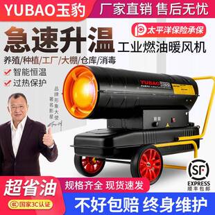 工业柴油暖风机燃油取暖器养殖场用大棚猪场消毒钢炮加热设备风炉