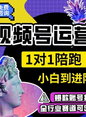 视频号运营自然流打法橱窗/直播/视频号卖货个人ip打造引流私域