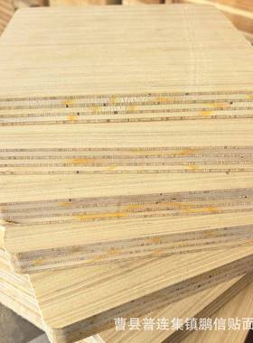 NMT直板18能厘科技木全科定板可贴实木皮和三聚氰胺拼装饰室内门