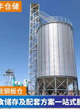 联丰仓储大100~1200型稻谷储仓存粮钢板食气密性仓好粮库专用