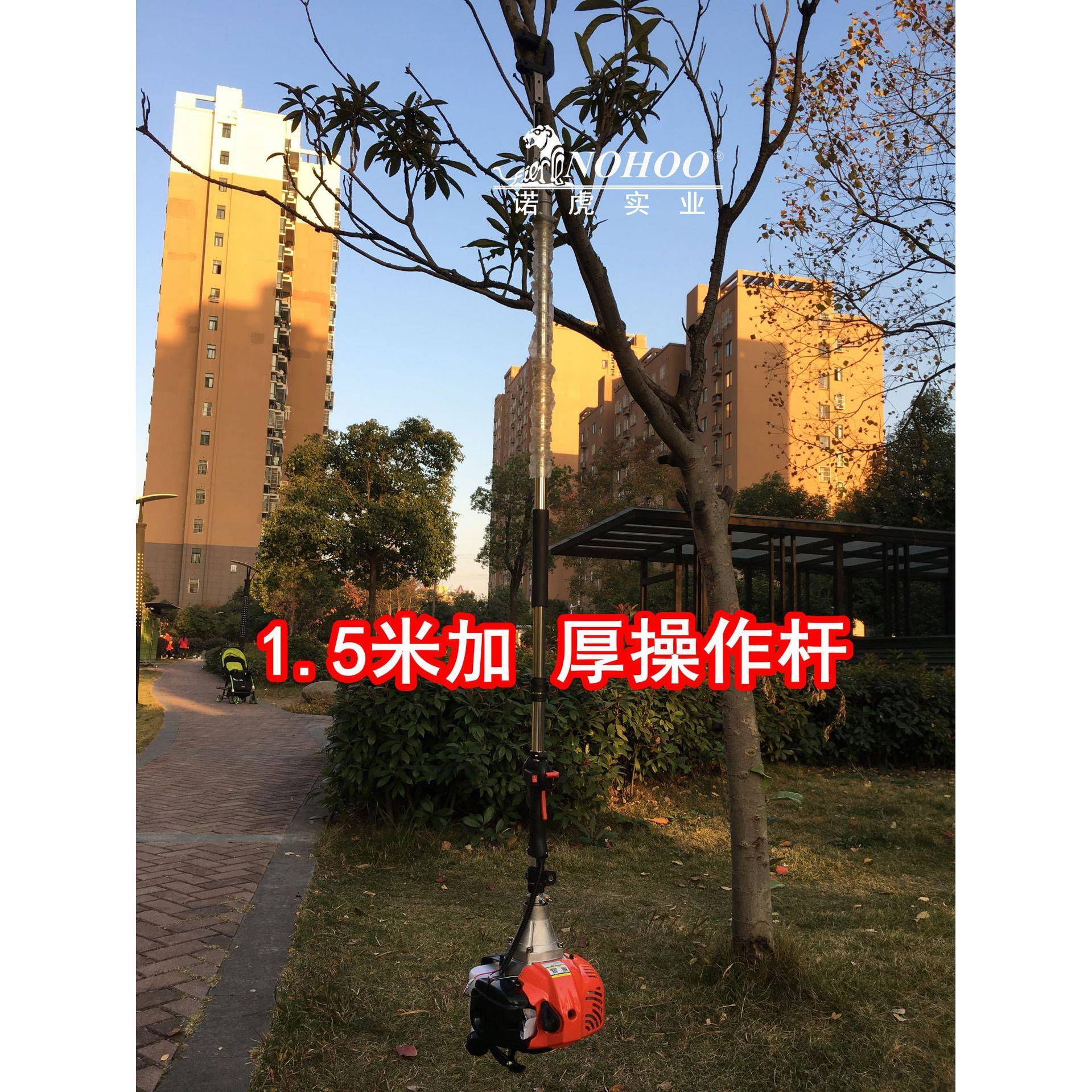 核桃板震动打果栗山摘萸肉打枣机沙机AMG棘橄榄坚果收获摘果机采