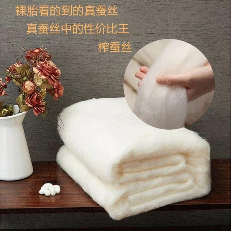 蚕被蚕丝人双人秋冬夏凉被单子母被蚕厂家直供丝裸胎柞蚕热卖直销