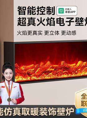 电子壁炉LE欧D电仿真火焰钉做式壁炉嵌入式火焰取暖器法式485壁炉