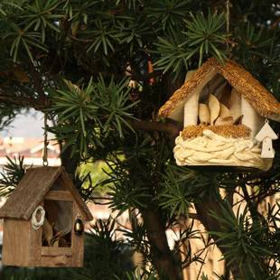 院花庭园阳台布件置造景鸟巢鸟窝鸟屋摆小儿鸟房子幼园10074249树