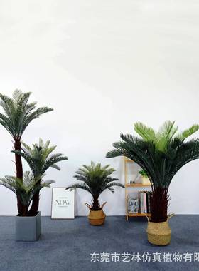 仿真大型苏铁植物盆栽室内厅装景饰绿植摆件造落地造20230725人铁