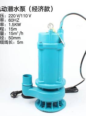 电动潜泵IOPWM水PA51623井水泵水泵抽水泵9农用污灌溉水泵110V