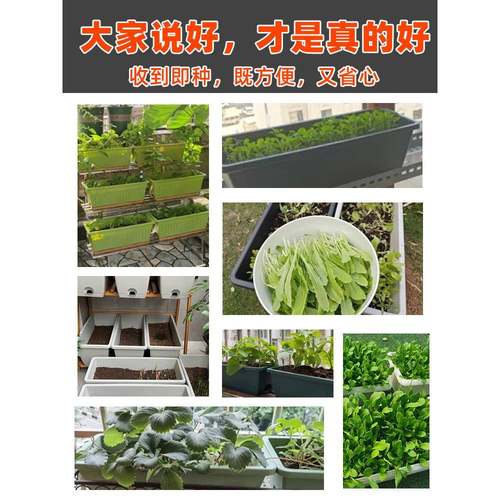 家庭阳台种菜蔬菜种植土壤有机料育土泥土种苗USN菜肥营养土加盆