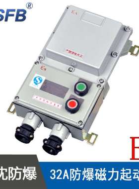 LBQC32A防爆电磁起动器电流32A40A380V防爆磁力启动器ExdbebIIBT4