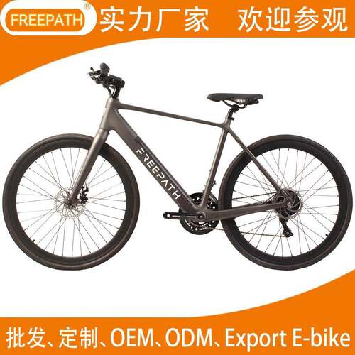 CE认证简约碳纤维城市车前3速后8速250W电动城市车