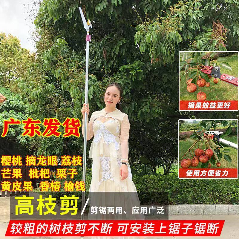 摘荔枝神器伸缩杆高空芒果柿子枇杷多功能果树采摘果器加长修枝剪