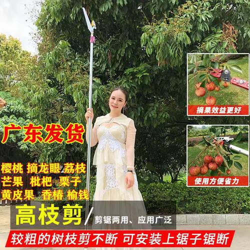 摘荔枝神器伸缩杆高空芒果柿子枇杷多功能果树采摘果器加长修枝剪