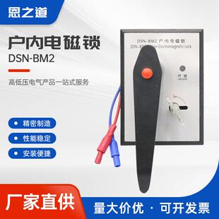 户内电磁锁dsn-bm2户内使用高压电磁锁钥匙配锁高压开关柜电控锁