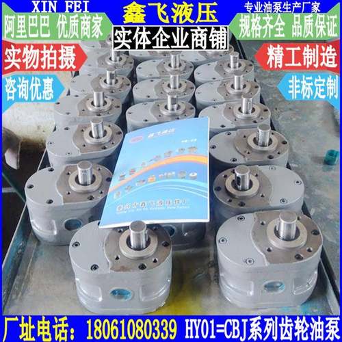 HY01-5X10X3X8X15X12X20X25X25X35X50X70X100低压磨床齿轮泵油泵