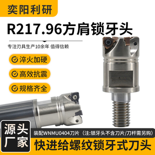R217.96快进给锁牙式刀头抗震刀杆重切削双面刀片铣刀头WNMU0404