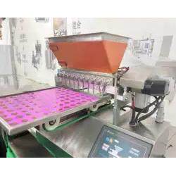 成都新款迷你多功能桌面巧克力软糖硬糖浇筑机厂家直销年