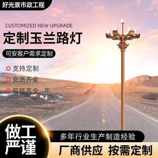 好光景市政工程园林灯亮化工程电力局开发区别墅区中华灯