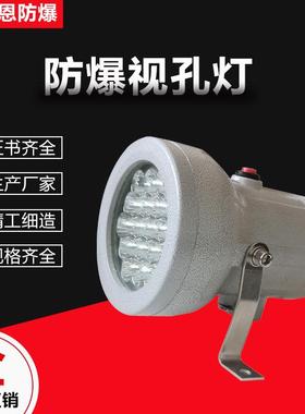 BSD防爆视孔灯10W锅炉房反应釜LED视镜灯铝合金材质化工观察灯