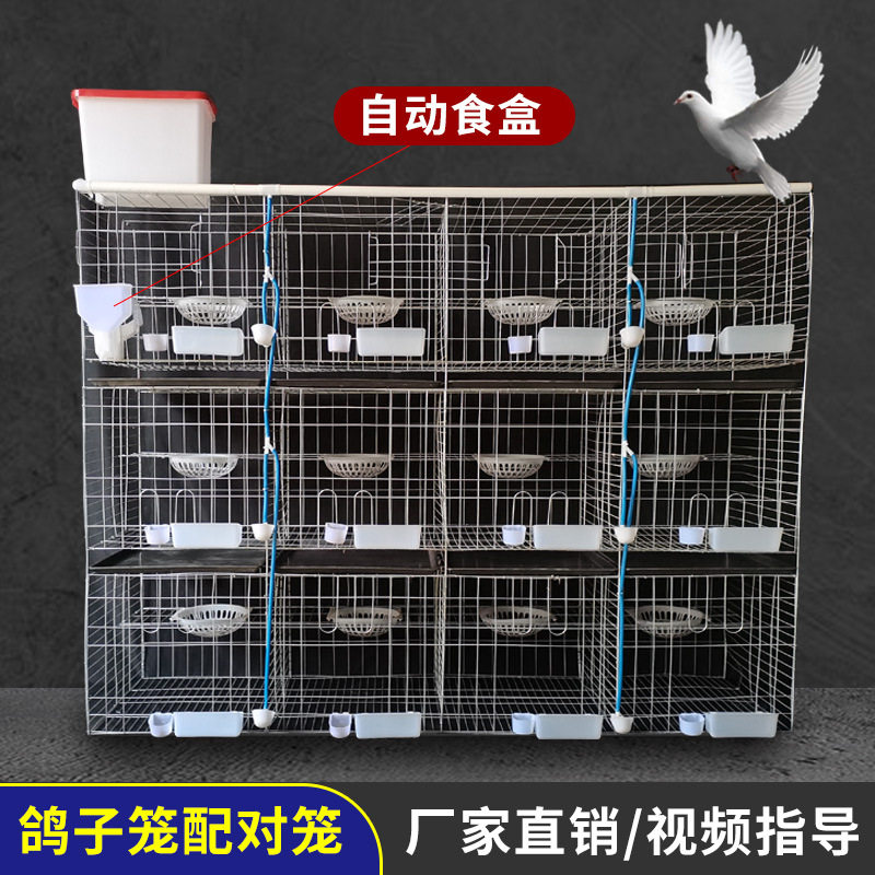 广旺丝网镀锌铁丝鸽子笼三层12位鸽笼加粗鸽笼1.5米养殖鸽笼