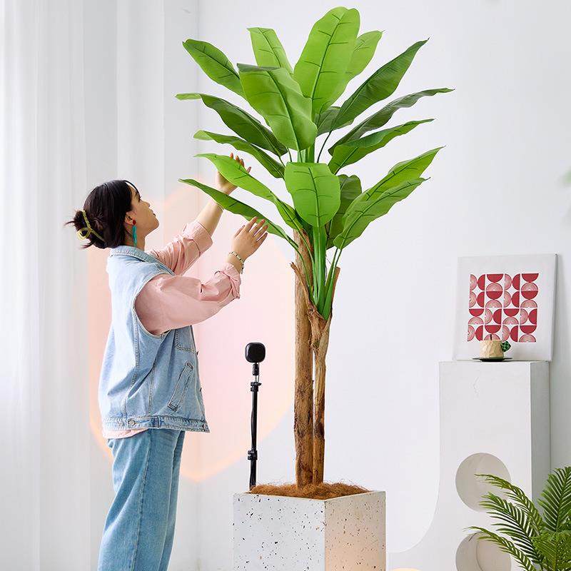 大型仿真芭蕉树盆栽办公室假绿植造景装饰客厅玄关阳台植物摆件,纺织面料/辅料/配套,纺织机械配件,淘宝优惠券,粉丝福利购,淘宝优惠卷