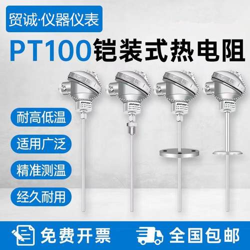 供应WZPK2-595铠装热电阻pt100-200~500（℃）A/B级热工仪表