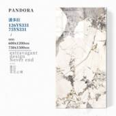 奢石60X120281380通T体大理石瓷砖别墅商场K0V酒店会所工墙地砖轻