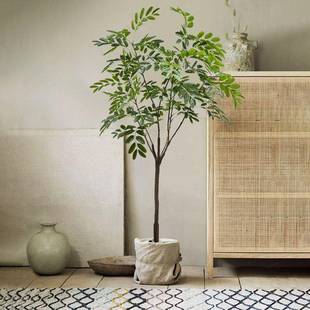 橄榄树仿真绿植盆栽室内大型槐树叶假树装饰植物造景落地摆