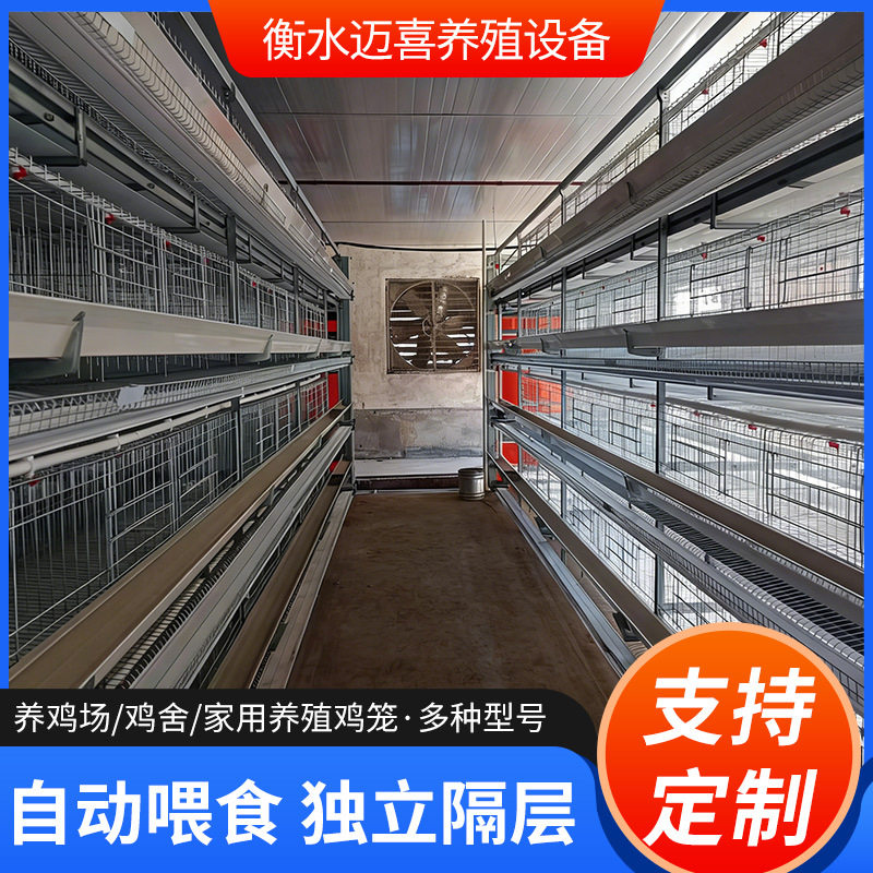 鸡场层叠式框架鸡笼现代化养殖设备自动化养鸡设备自动捡蛋机厂家