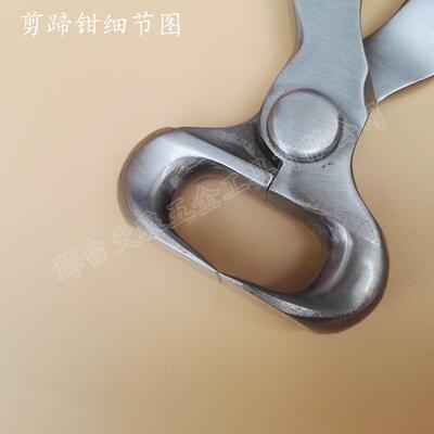 剪蹄钳工具钢马蹄钳平口钳修蹄钉掌工具天狼马具用品马蹄剪