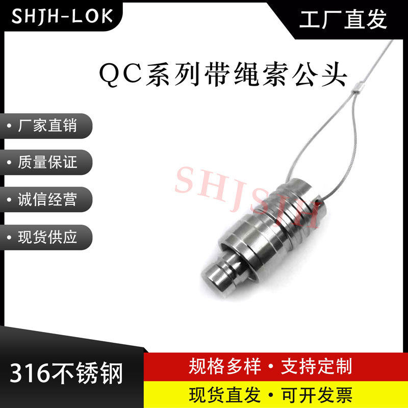 兼容世伟洛克QC4/QC6/QC8仪表快速接头戴绳索管茎公头316L不锈钢