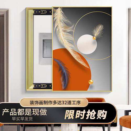 电表箱装BQ羽毛竖画竖款羽遮源毛橙色简现代简约挡开关盒强电配电
