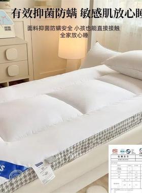 租宿加厚a类大豆SWW纤维床垫软垫褥子家用房单学生舍铺垫超人软垫