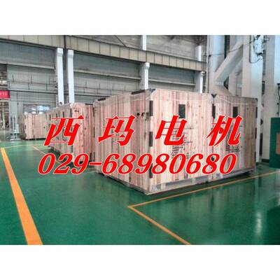 YKK6032MDP-8010玛0KW744rpm泰富西电机配件大全