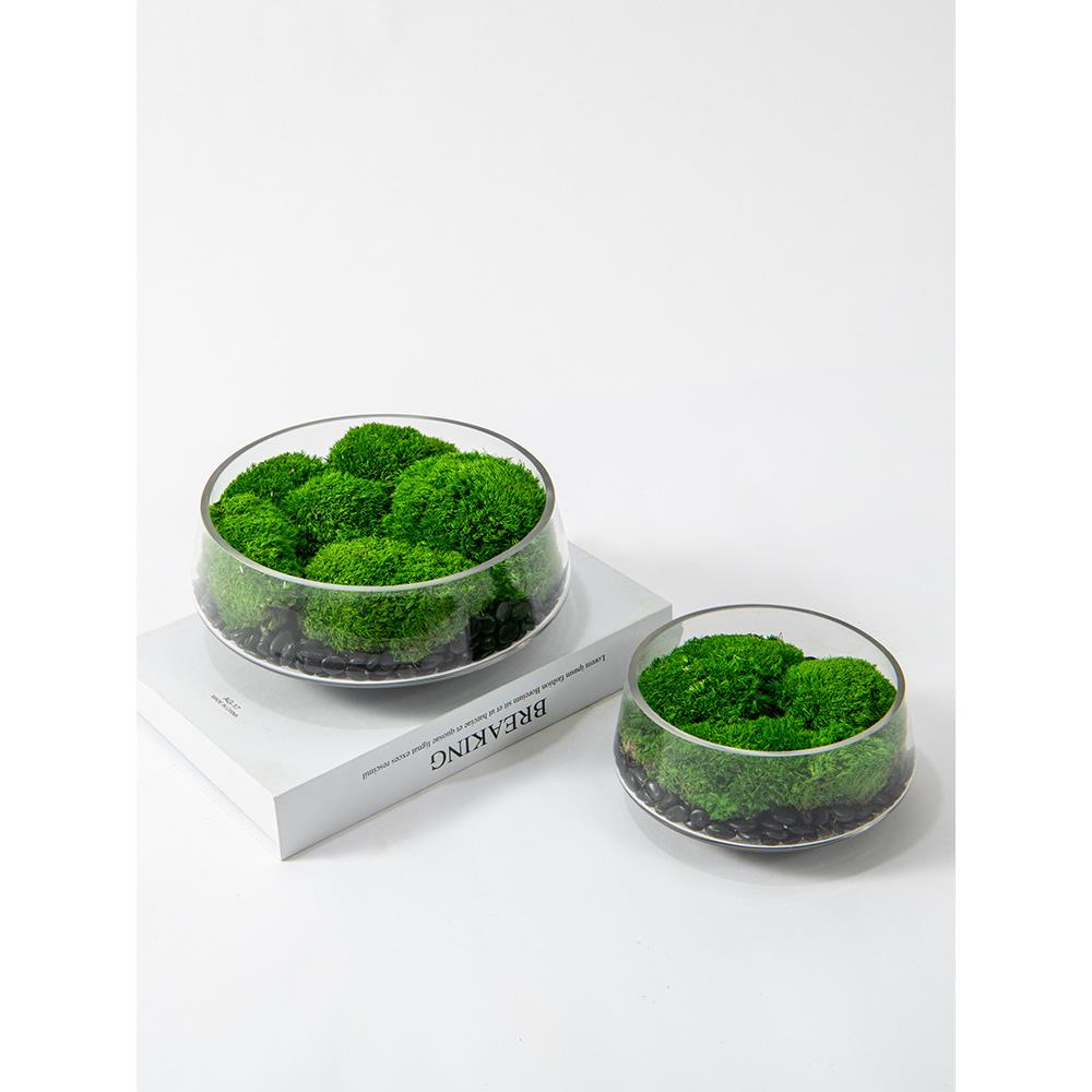 仿真花盆永生苔景藓花艺绿LWC植酒店大堂新式会议桌盆洽栽谈桌中