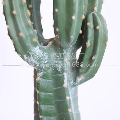 仿真仙人掌沙生格植物造景搭配神柱龙门堆景店11253铺风装饰店摆