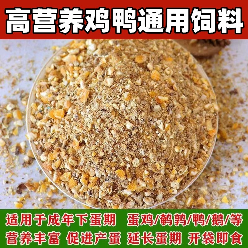 便宜通用玉米粒碎喂鸡蛋鸡玉米碎