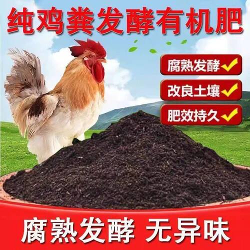鸡粪种菜家用有机肥阳台种菜花卉