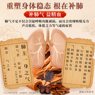 仁和五加参蛤蚧精OTC类口服液补气补血补肺气益精血优惠装