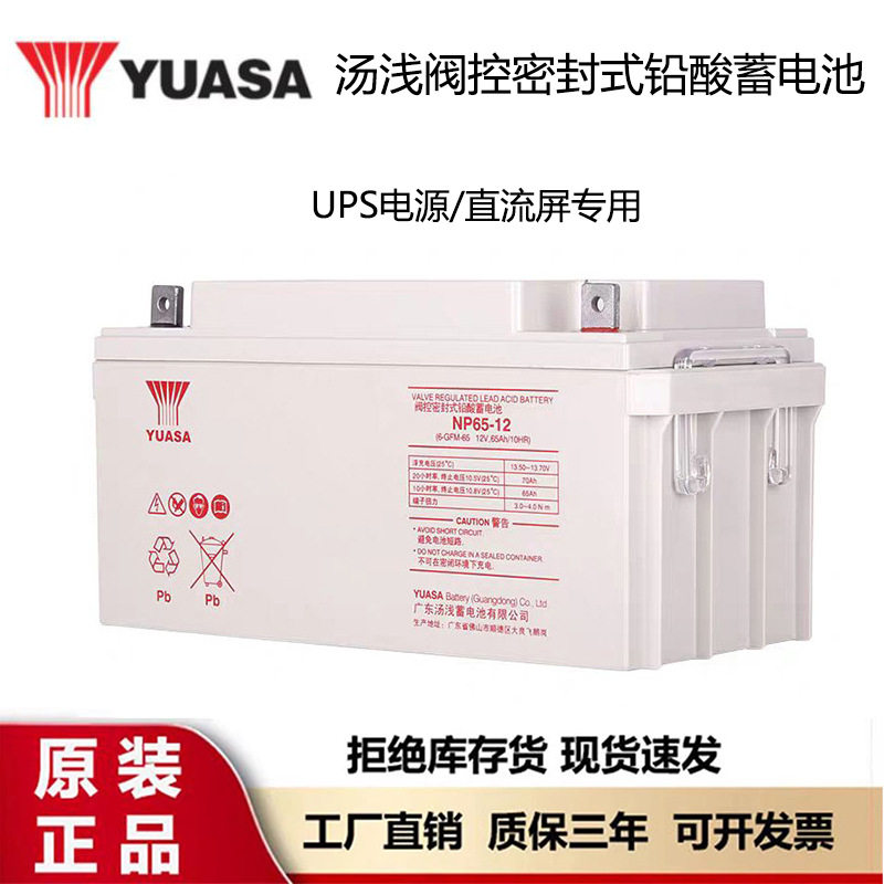 汤浅蓄电池NP12-100 12 v24 38 65 120AH通信机房UPS/EPS电源专用