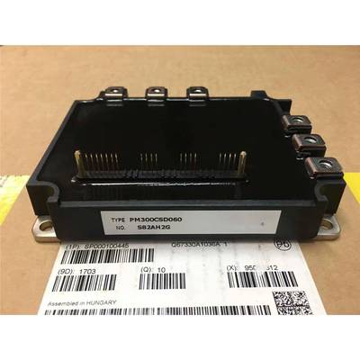 PM300CSD060PM150RSE120PM150RRA060PM300RSD060PM200RSE060