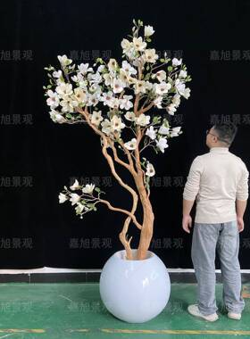 仿真玉兰花盆景大TJA型落地窗装饰橱花艺树软装假树内商室场摄影