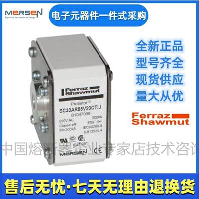 Ferra罗熔NYW断器zSC33AR60V15C兰TFF1美046965尔森Mersen