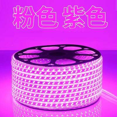 20双v超亮5730排32696工l程家用商用户外绿化养殖防2水软灯带条ed