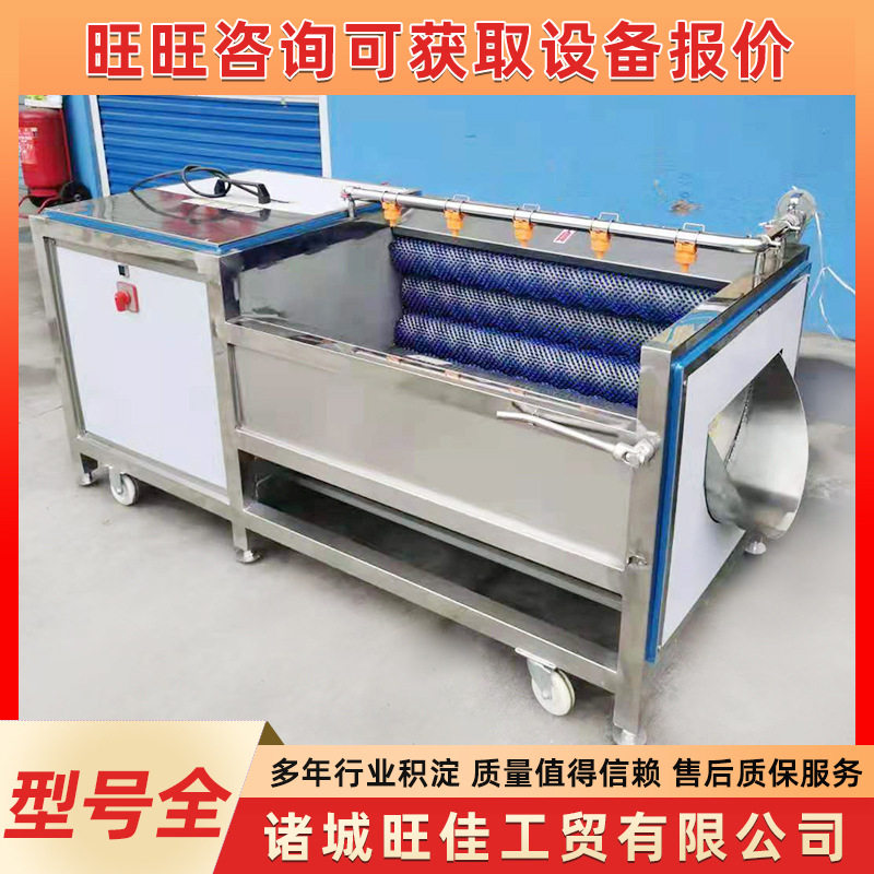 商用全自动毛辊清洗去皮机