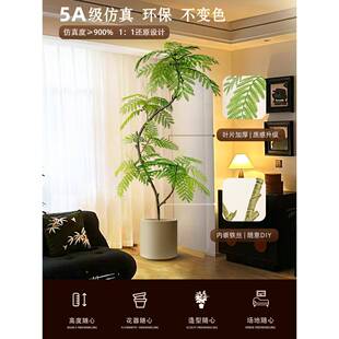 JVZ绿植装饰摆件落地厅大蓝型客入室户玄关电视柜旁边内盆栽花楹