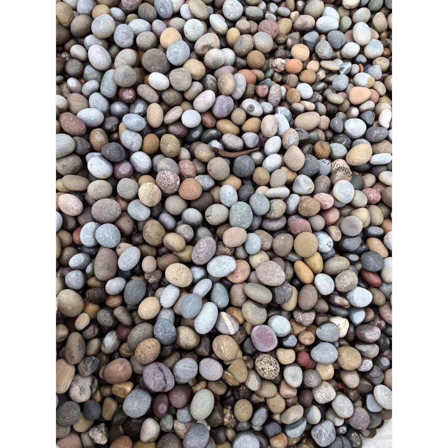 混色雨花石哪的厂挡水鹅卵石MGH用途石砾英鹅卵石优质石商户变压