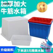 瓷加方厚塑水料长形牛筋箱周转箱大号储水桶养鱼水产养殖泡麦CVH