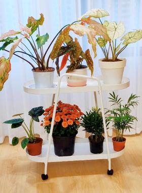 客厅铁艺花架置物架架落地阳小台可移动带轮72057架推车花盆托多