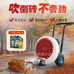 浙江路面吹风机大功路率马路吹风生产面厂IVE家机便携式 吹风机